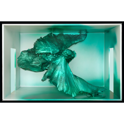 Aquarium